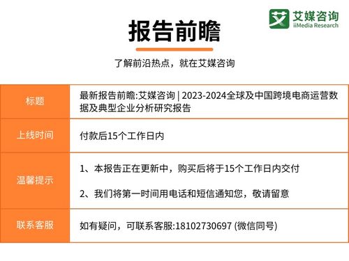 2023-2024年全球及中國跨境電商運營數據與典型企業(yè)分析報告